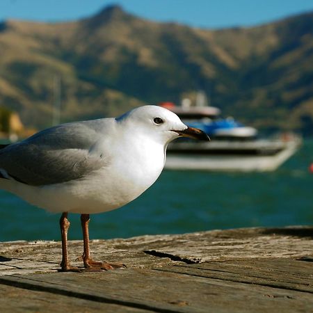 Akaroa Top 10 Holiday Park Exterior photo